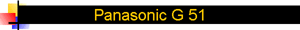 Panasonic G 51