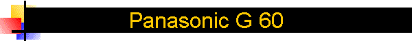 Panasonic G 60