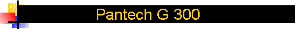 Pantech G 300
