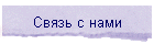 Связь с нами